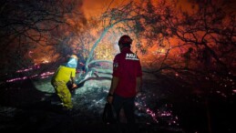 Antalya’daki yangında 15 hektar kül oldu