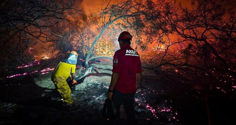 Antalya’daki yangında 15 hektar kül oldu