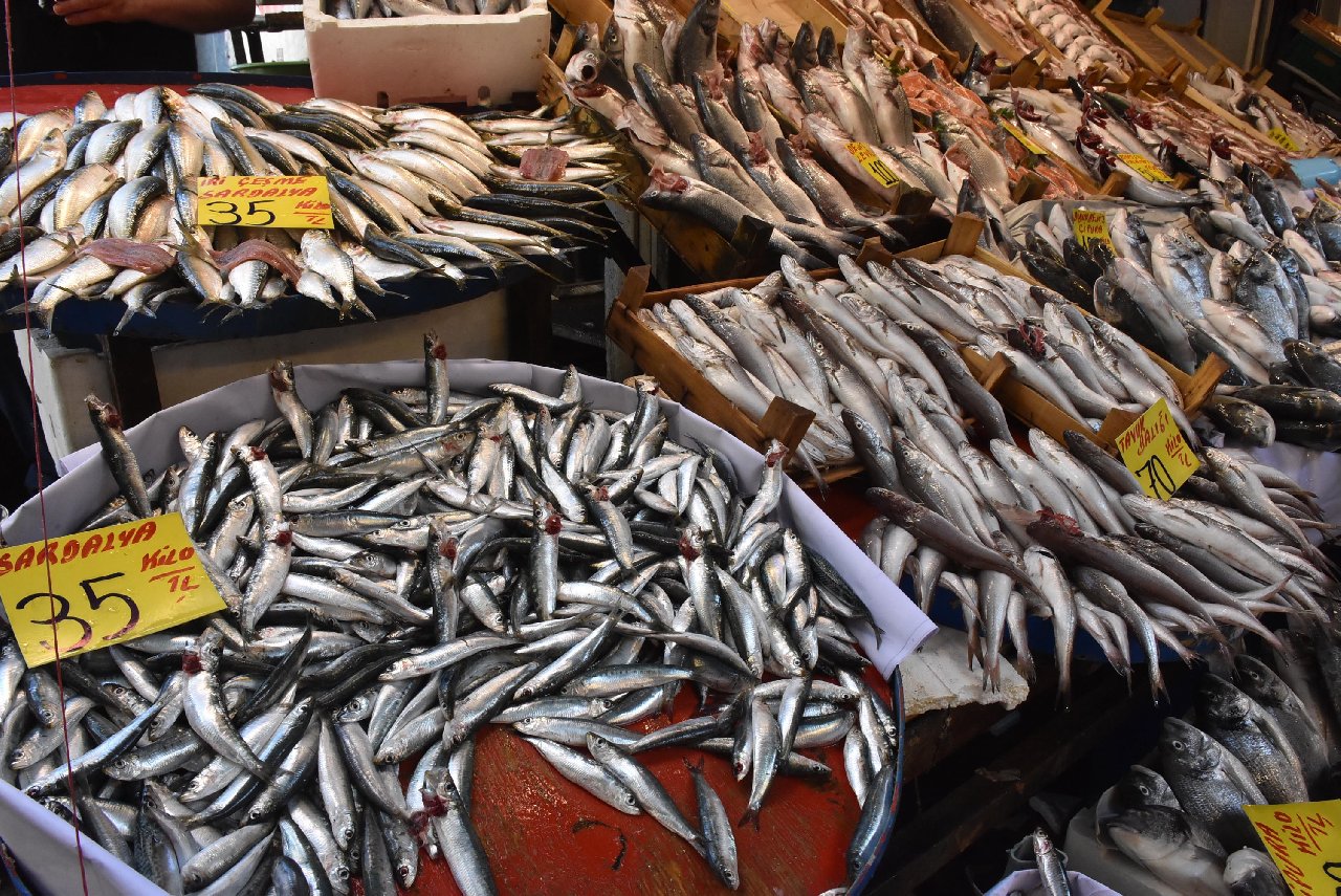 Av yasağı kalktı: Tezgahta fiyatlar yarı yarıya düştü