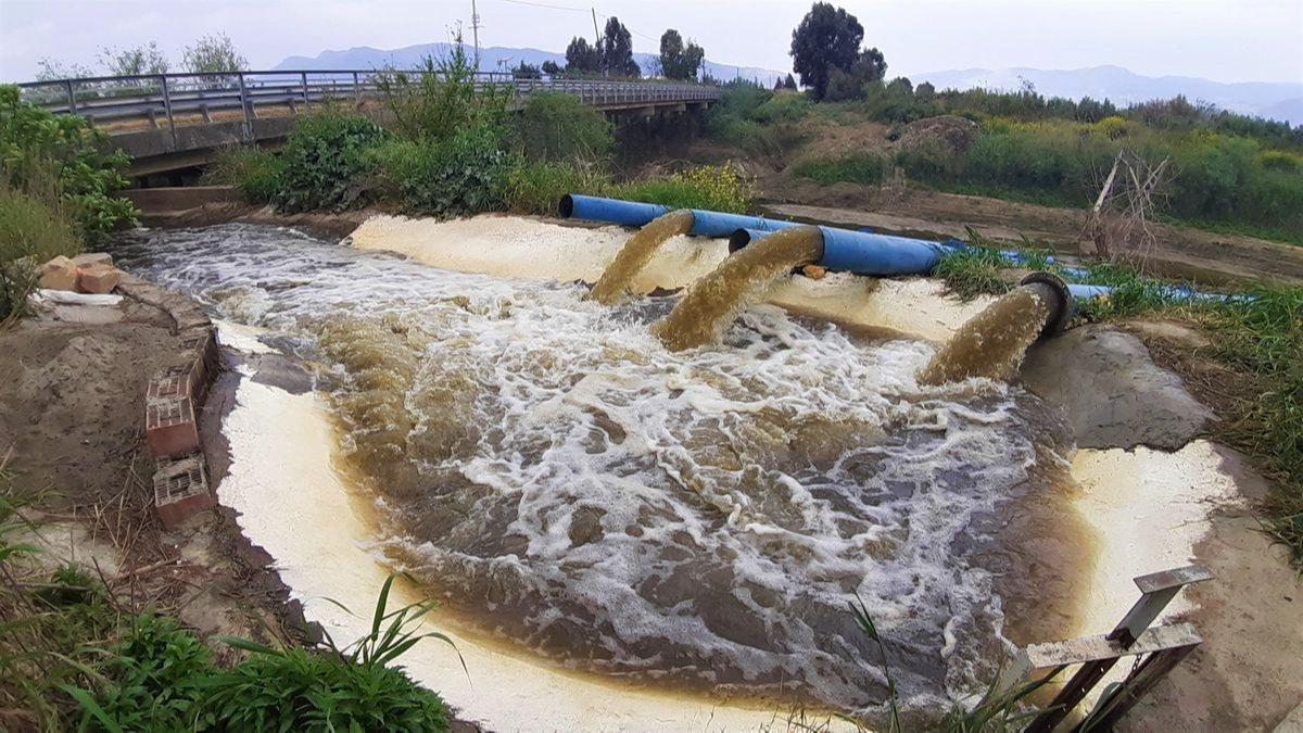 Büyük Menderes Nehri’ndeki kirlilik çevreyi tehdit ediyor
