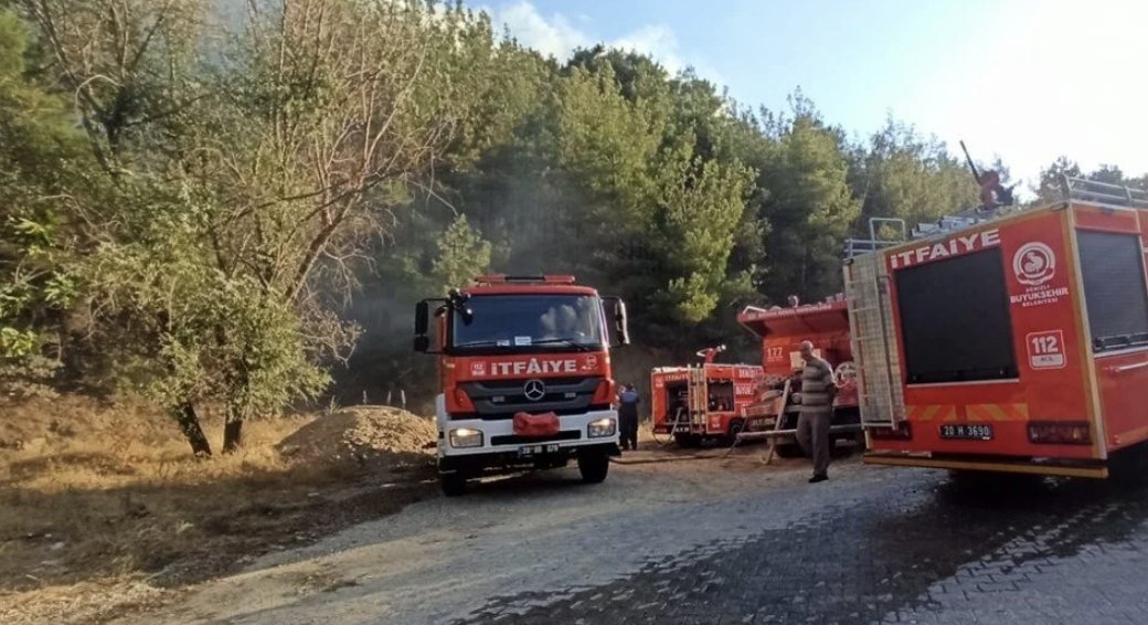 Denizli’de orman yangını çıktı