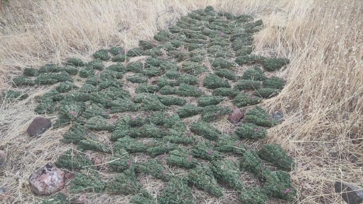 Diyarbakır’da 596 kilogram esrar ele geçirildi