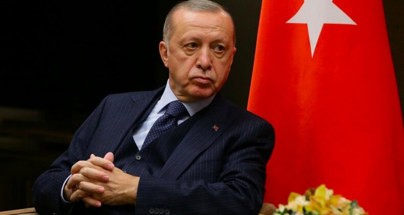 Erdoğan’a hakaret eden Alman vekil hakkında suç duyurusu