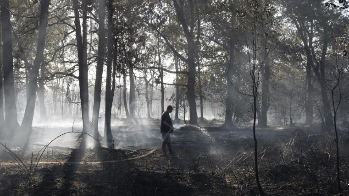 Fransa’da 3 bin 600 hektar ormanlık alan yandı