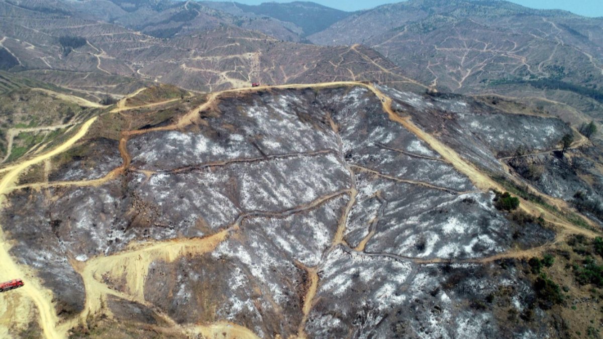 İzmir’de 430 hektarlık orman yangınının sanığı istinafta beraat etti