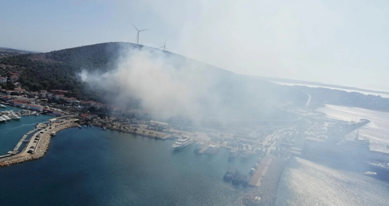 Son Dakika… İzmir’de orman yangını çıktı! Ekiplerin müdahalesi sürüyor!