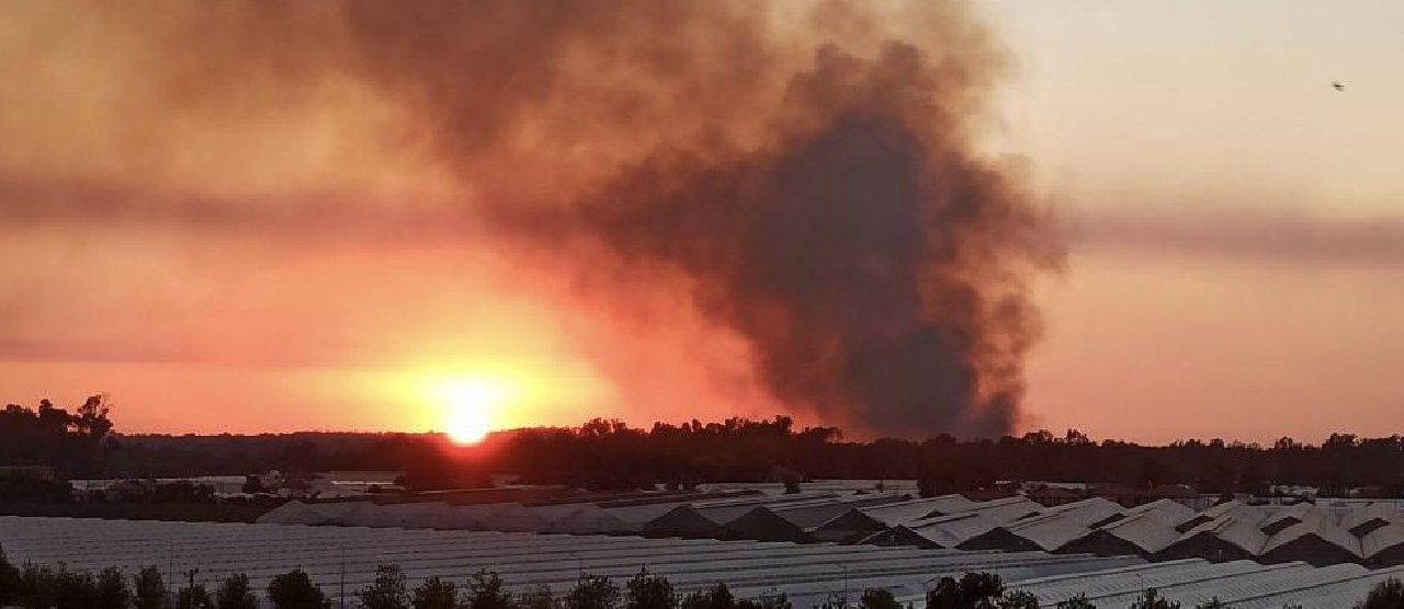 Kaş’ta orman yangını