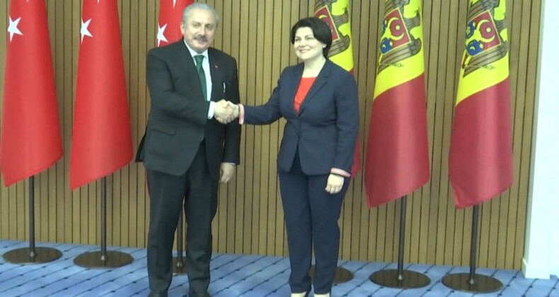 Mustafa Şentop, Moldova Başbakanı ile görüştü