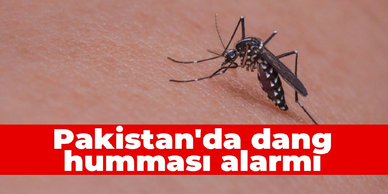 Pakistan’da dang humması alarmı