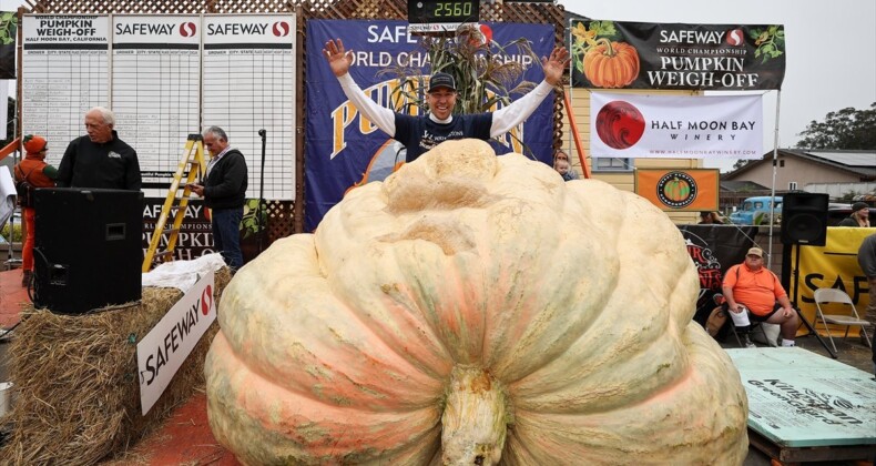 ABD’de 1161 kilogramlık bal kabağı sergilendi