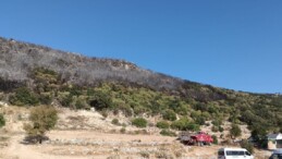 Antalya’da makilik yangınının acı bilançosu