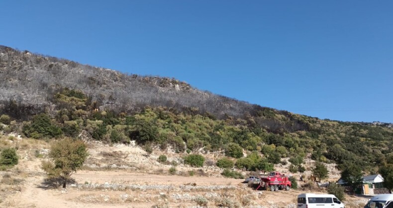 Antalya’da makilik yangınının acı bilançosu