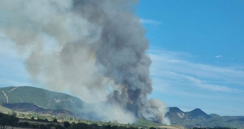 Son dakika: Çanakkale’de orman yangını korkuttu! Müdahale sürüyor…