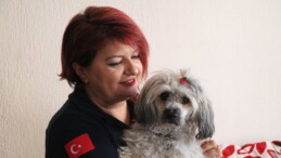 Denizli’de hemşire, kaza yapan turist çiftin köpeğinin bakımını üstlendi