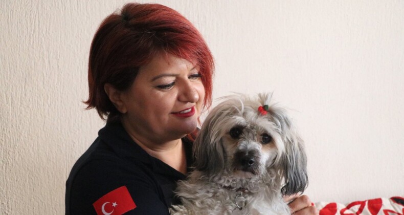 Denizli’de hemşire, kaza yapan turist çiftin köpeğinin bakımını üstlendi