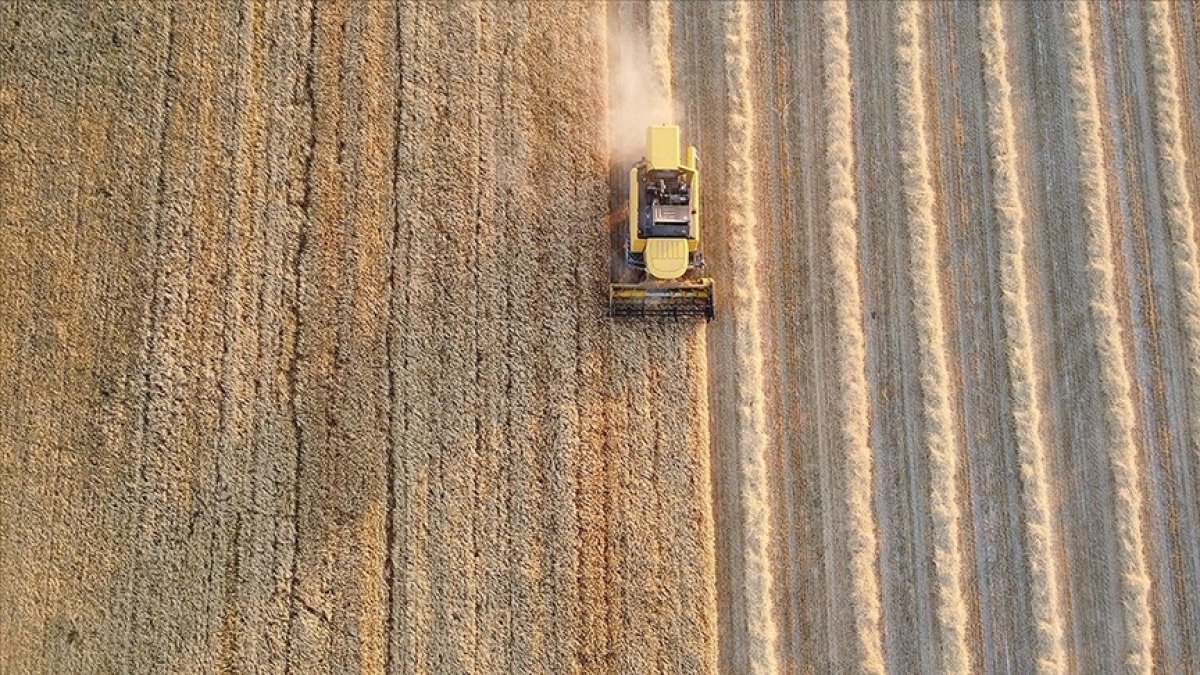 Eskişehir’de tarım arazilerinin kirası arttı