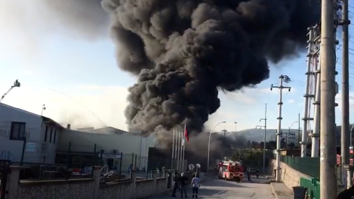 Kocaeli’deki petrol firmasında yangın