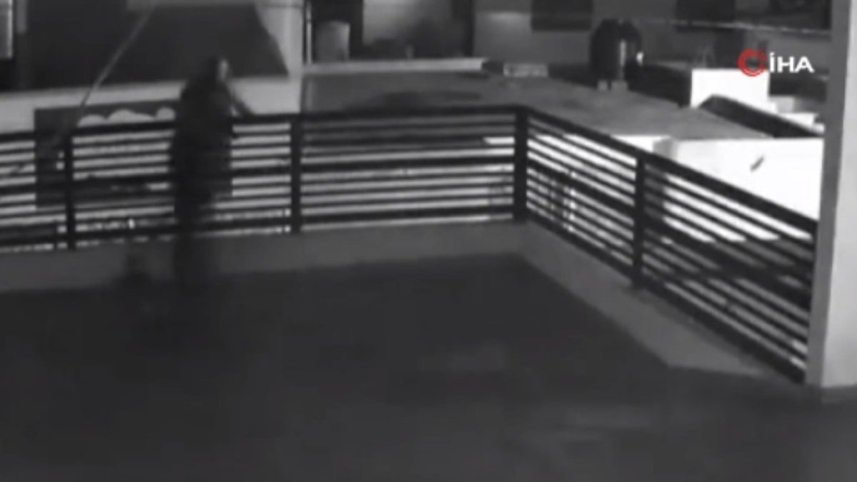 Meksika’da köpekler tarafından kovalanan hırsız, çatıdan atladı