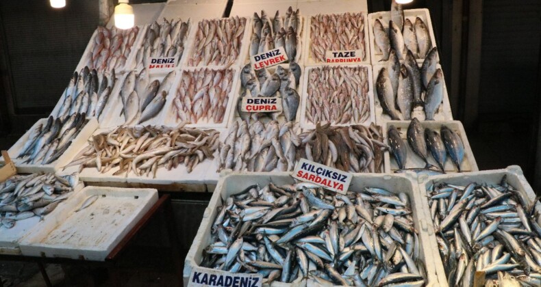 Mersin’de balık fiyatları düştü: İlk 3 aya dikkat