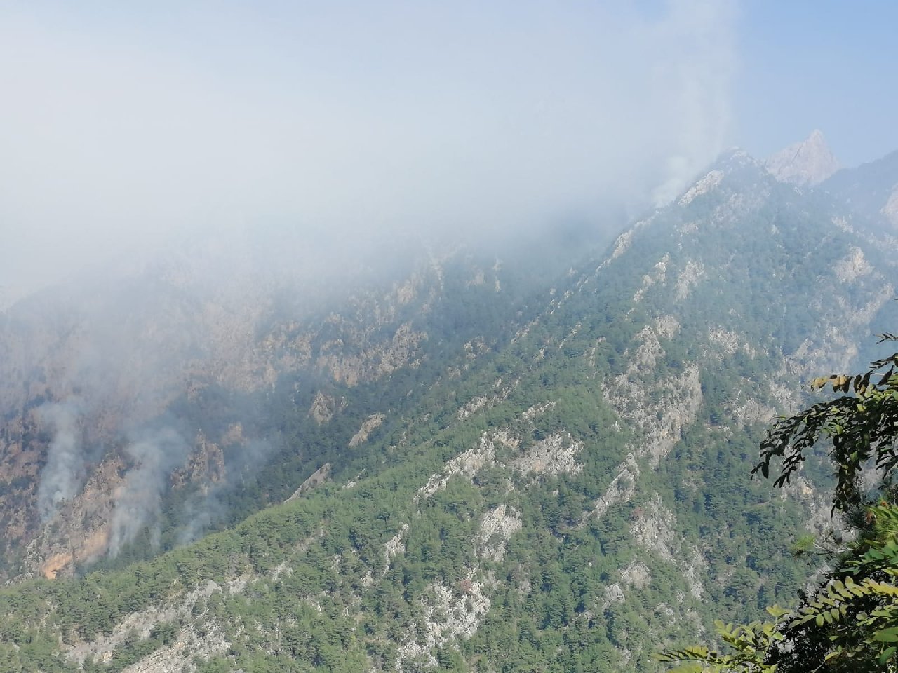 Osmaniye’deki orman yangını: Havadan müdahale sürüyor