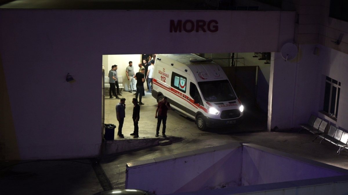 Siirt’te ceviz ağacından düşen adam hayatını kaybetti