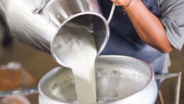 TZOB: Ulusal Süt Konseyi işlevini yitirdi, kapatılmalı