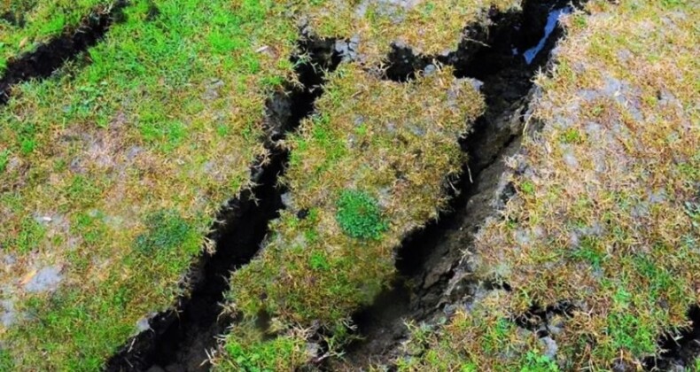 Düzce depreminde meydana gelen dev yarıklar görenleri şaşkına çeviriyor