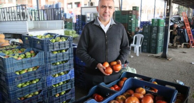 Sebzede örtü altı sezonu açılması, fiyatları düşürüyor