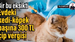 Bir bu eksikti: Evdeki kedi-köpek başına 300 TL çip vergisi