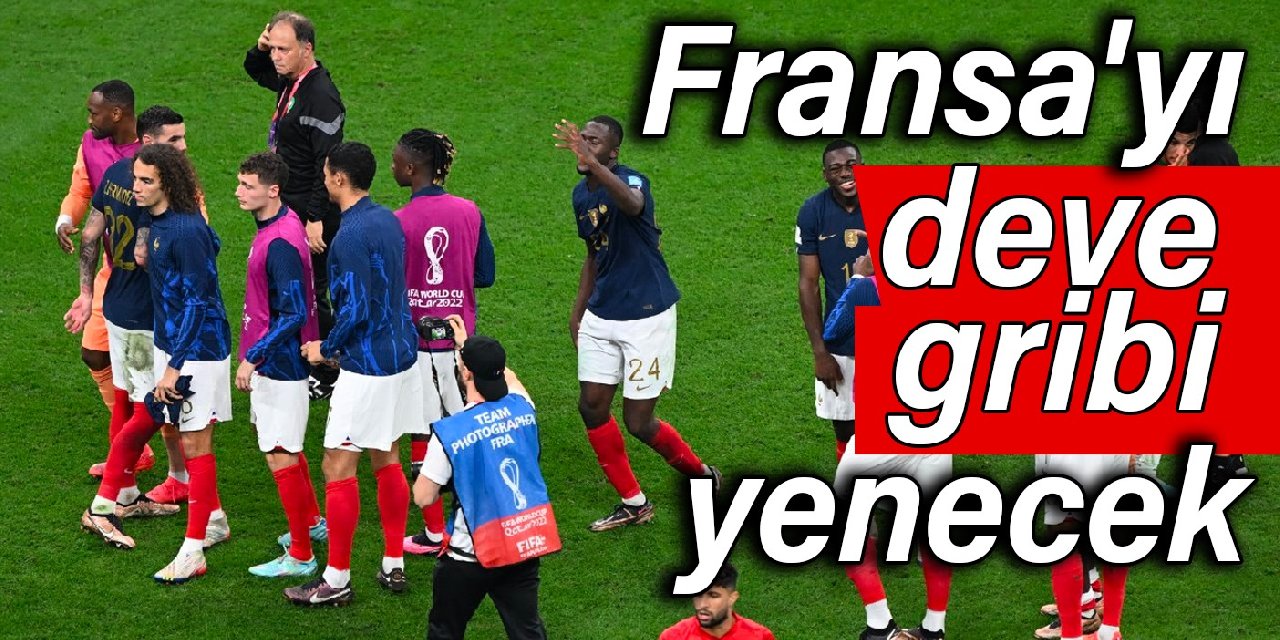 Fransa’yı ‘deve gribi’ yenecek