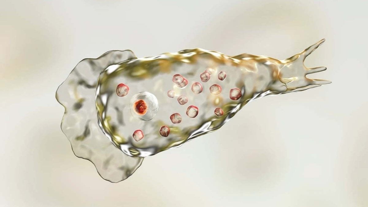 Güney Kore’de “Beyin yiyen amip” ölüme neden oldu