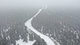 Kars ve Ardahan’da ulaşıma sis engeli