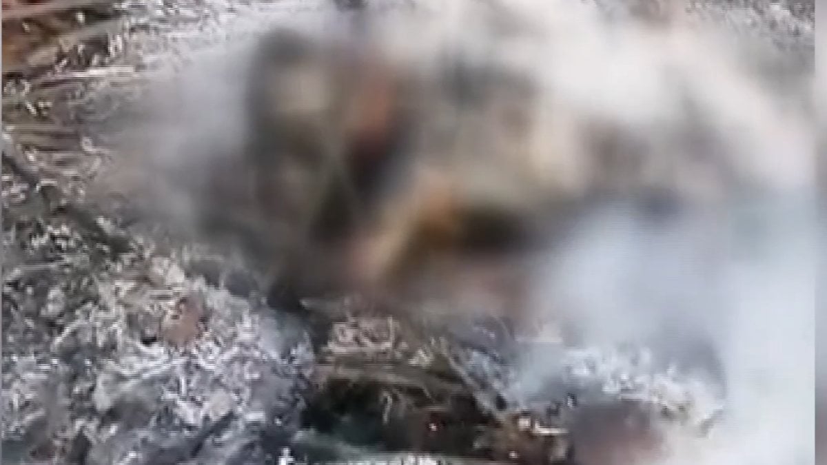 Meksika’da araç hırsızını yakarak öldürdüler