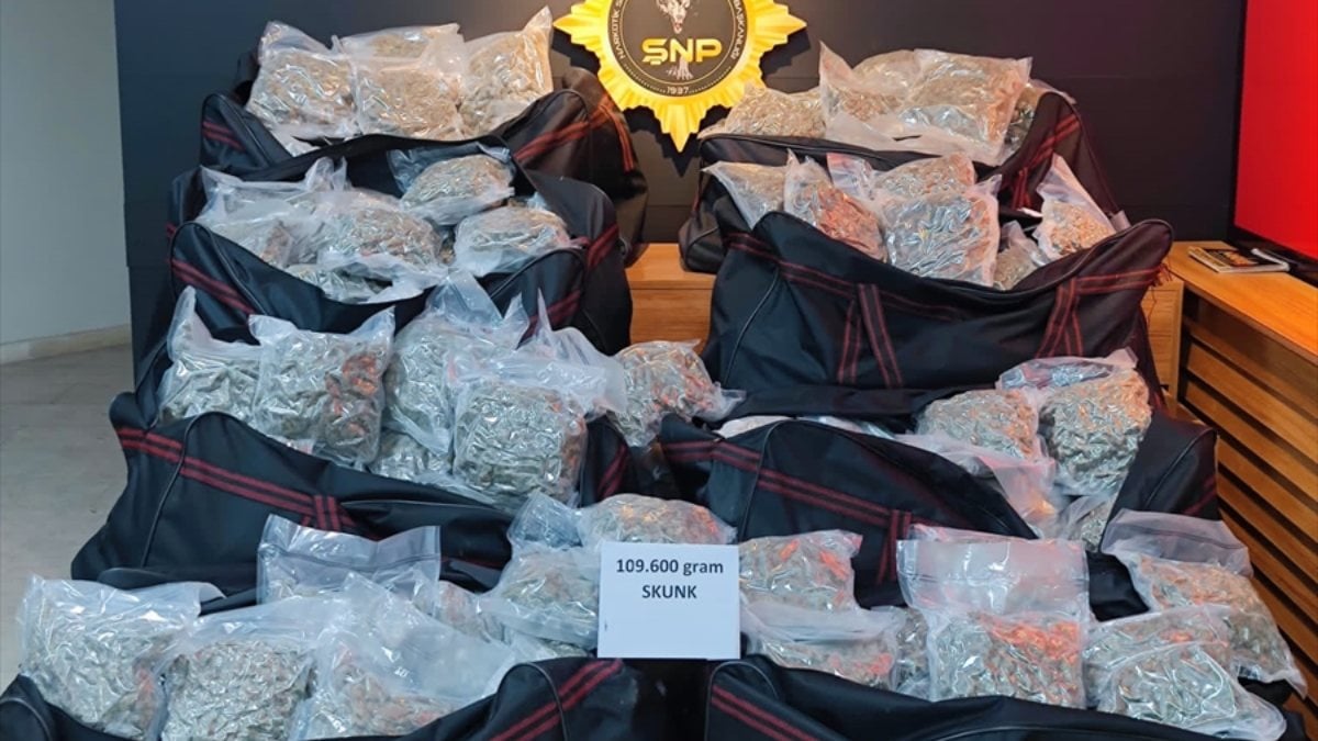 Şanlıurfa’da, kamyondan 109 kilo 600 gram skunk çıktı