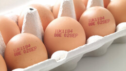 Yumurtanın üzerindeki o kodlar ne anlatıyor, alışveriş yaparken mutlaka bakın