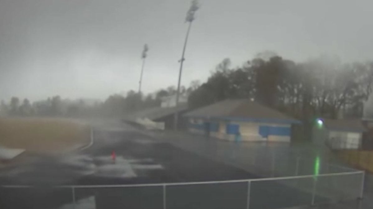 ABD’de hortum ağaçları söktü, binalara zarar verdi