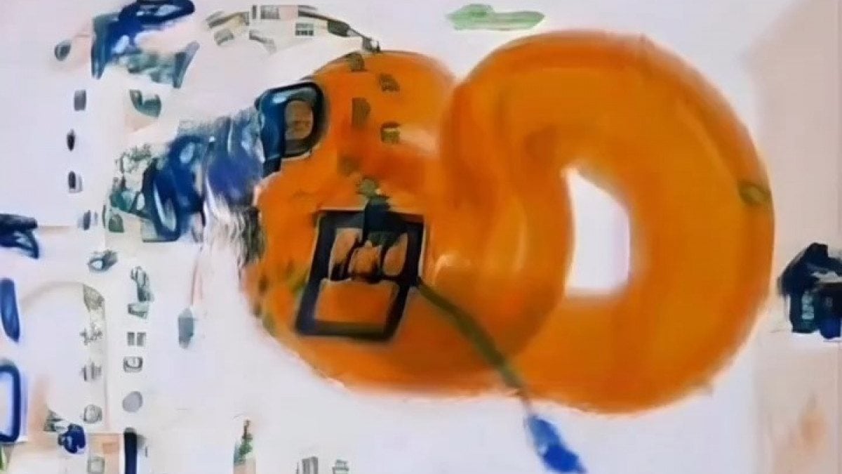 ABD’deki havalimanında, el bagajının içinde boa yılanı bulundu