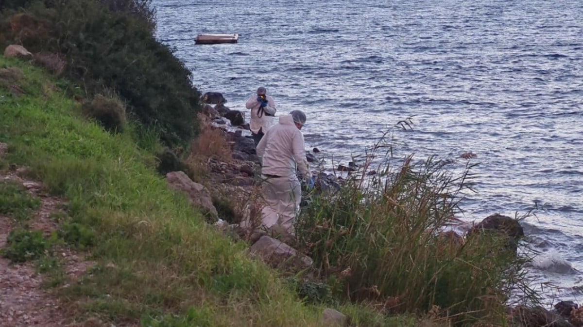 Bodrum’da sahilde belden yukarısı olmayan çürümüş ceset bulundu