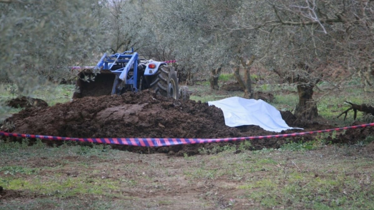 Bursa’da zeytinliğe getirilen gübrenin içinden ceset çıktı