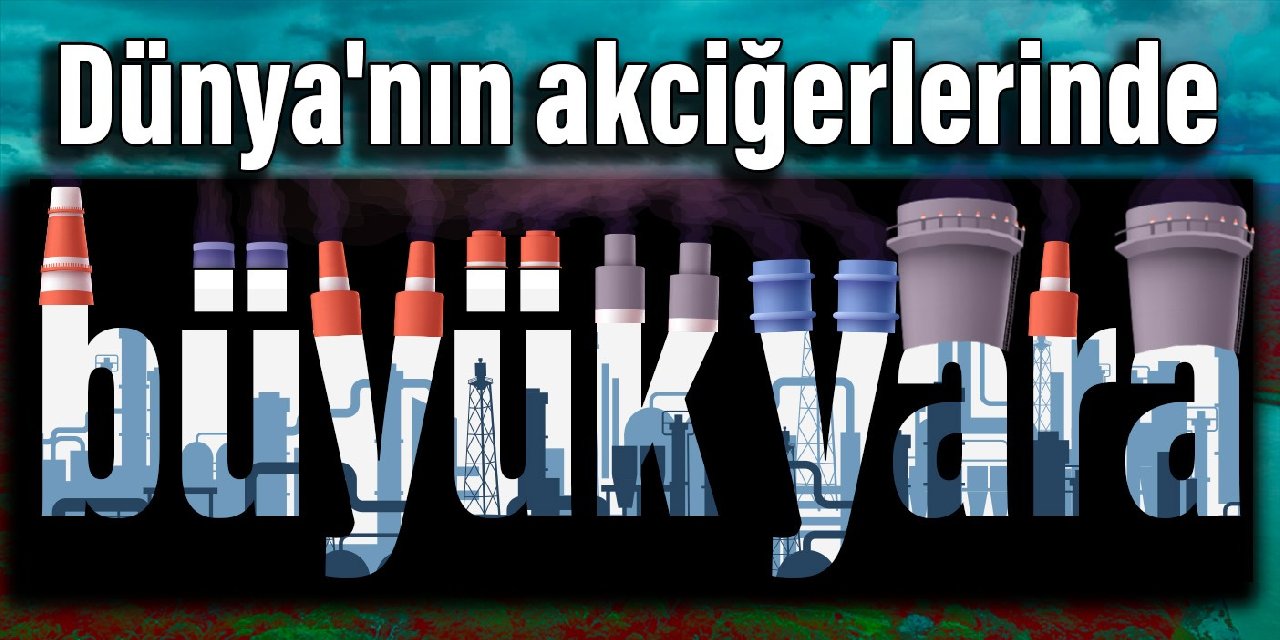 Dünya’nın akciğerlerinde büyük yara