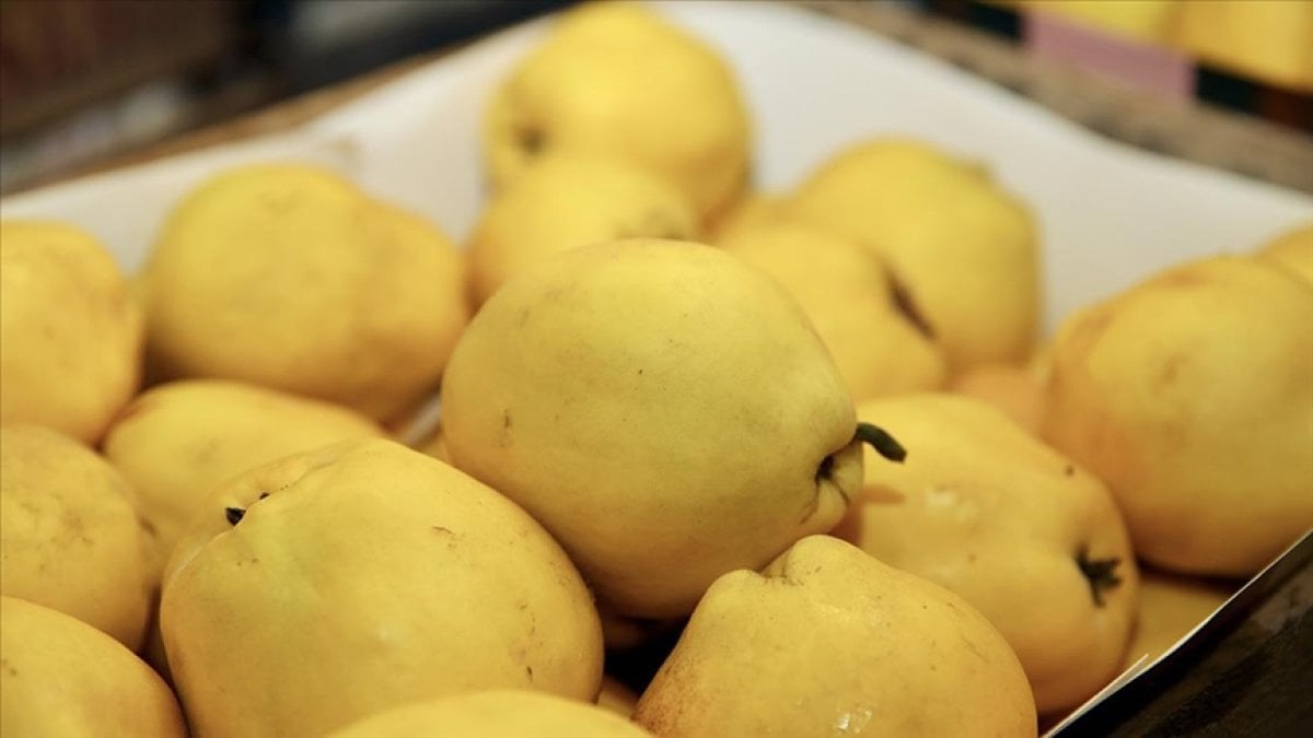 Dünyaya ayva Türkiye’den gidiyor