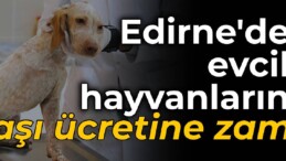 Edirne’de evcil hayvanların aşı ücretlerine zam