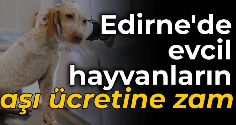 Edirne’de evcil hayvanların aşı ücretlerine zam