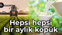 Hepsi hepsi bir aylık köpük