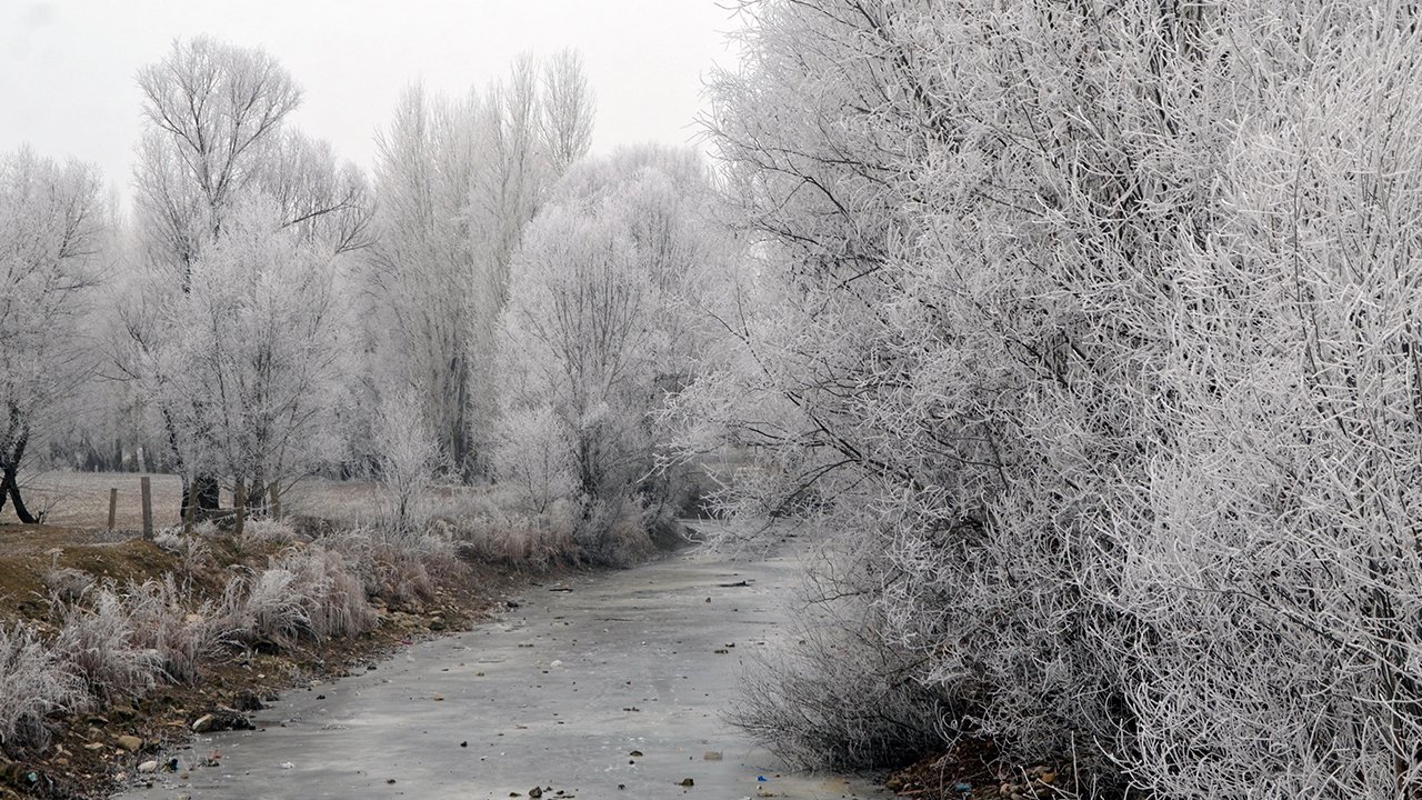 Muş’ta kartpostallık görüntüler