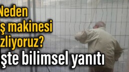 Neden iş makinesi izliyoruz? İşte bilimsel yanıtı