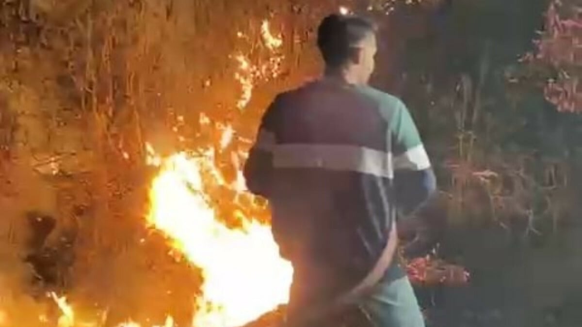 Sakarya’daki ormanlık alanda çıkan yangın söndürüldü