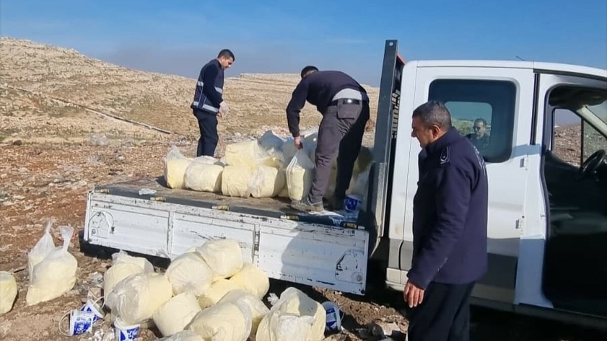 Şanlıurfa’da 1 ton 260 kilo küflenmiş tereyağı ele geçirildi