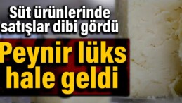 Süt ürünlerinde satışlar dibi gördü: Peynir lüks hale geldi