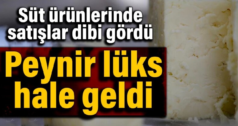 Süt ürünlerinde satışlar dibi gördü: Peynir lüks hale geldi